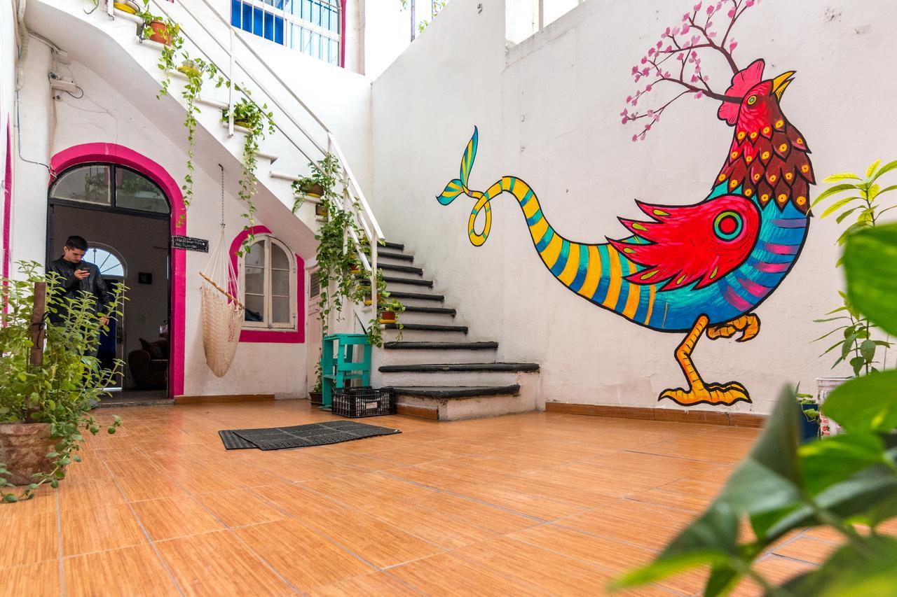 Taiyari Hostal Monterrey Exterior photo