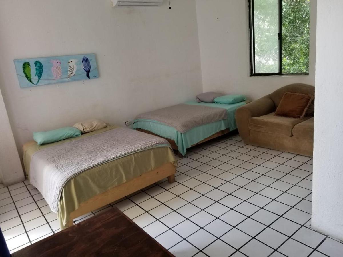 Taiyari Hostal Monterrey Exterior photo